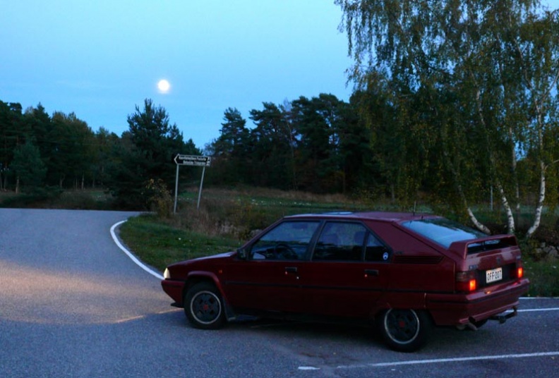 Ruissalossa kuutamoiltana